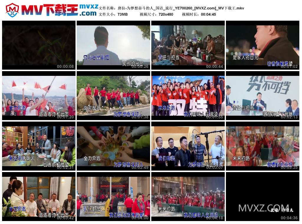 唐拉-为梦想奋斗的人_国语_流行_YE700260